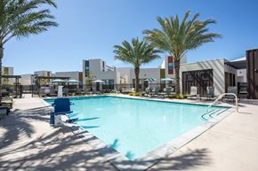 Sacramento apartment for rent - A swimming pool surrounded by palm trees and modern buildings.