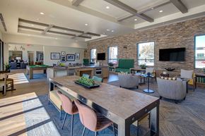 Redlands apartment for rent - our apartments showcase a naturally lit living room