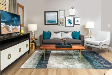 Chula Vista apartment for rent - A living room with a grey couch, a wooden coffee table, and a painting on the wall.