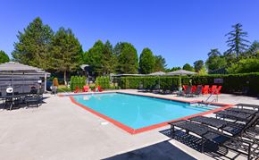 Kirkland apartment for rent - Poolside Lounge Seating, Tables with Umbrellas, and Surrounding Hedges and Trees at Woodlake Apartments, Kirkland 98034