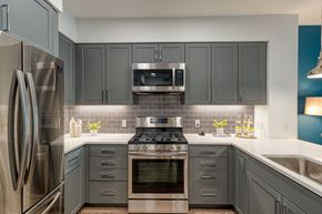 Danville apartment for rent - kitchen with stainless steel appliances