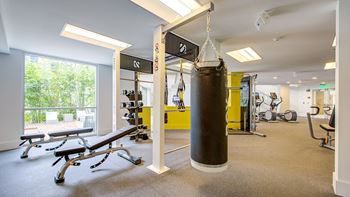 Modern fitness center