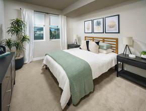 Walnut Creek apartment for rent - Spacious Bedroom With Plush Carpeting, High Ceiling, And Two Windows at NoMa Apartments, California, 94596