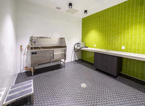 Walnut Creek apartment for rent - a kitchen with a stove and a counter at NoMa Apartments, Walnut Creek, CA