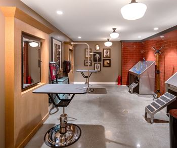 The groomery - pet spa