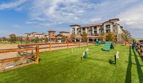 Broomfield apartment for rent - Outdoor Dog Park With Several Obstacle Course Items and a Fenced Perimeter at Terracina, Broomfield, CO 80020