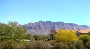 Tucson apartment for rent - A house with a red roof is surrounded by green trees and bushes with a mountain in the background.