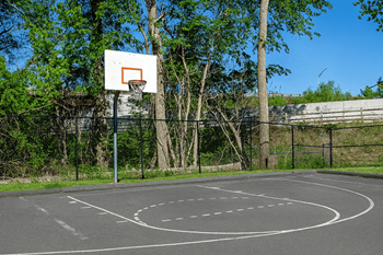 Basketball court