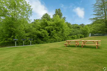 Bbq/picnic area