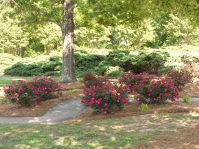Laurens apartment for rent - Meadowbrook