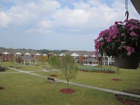 Cartersville apartment for rent - A hanging flower pot with pink flowers is in the foreground of a grassy area with a building in the background.