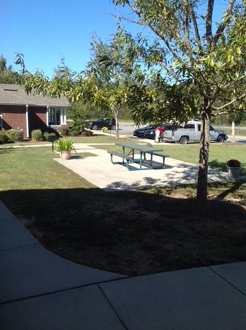 Picnic & bbq area