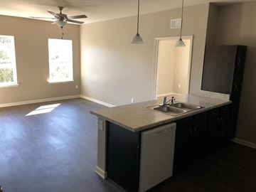 Elberton apartment for rent - A kitchen with a white dishwasher and a sink.