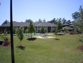 Toccoa apartment for rent - A grassy area with a picnic table and trees in front of a building.
