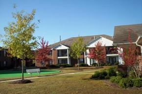 Thomson apartment for rent - A residential area with a house, a tree, and a bench.