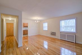 Fair Lawn apartment for rent - A room with wooden floors and a window with a view of a tree.