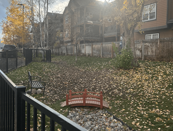 Dog park