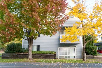 Exterior landscape