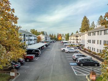 A parking lot with cars and trees in the background.