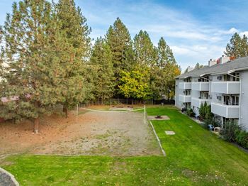 A backyard with a dirt area and a green lawn.