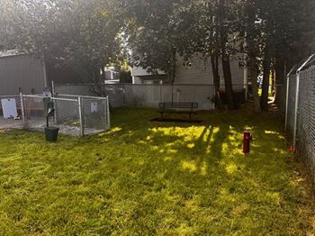 Backyard with a fence