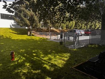 Green lawn
