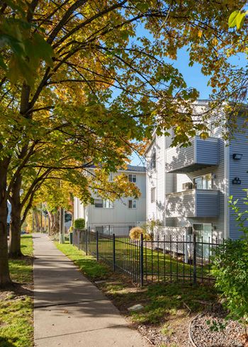 A tree with yellow leaves is in front of a white building.