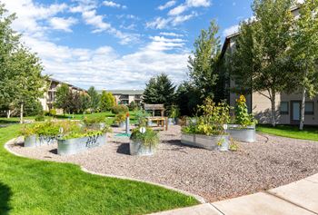 Community garden