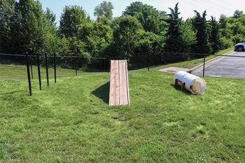 Dog park