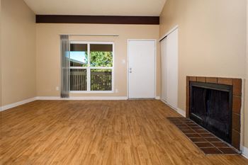 Wood-burning fireplace