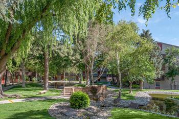 Courtyard and walking paths