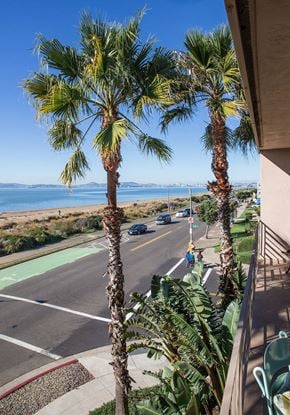 Alameda apartment for rent - Palm trees on a street with a view of the ocean.