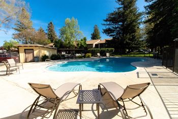Sparkling swimming pool with sundeck