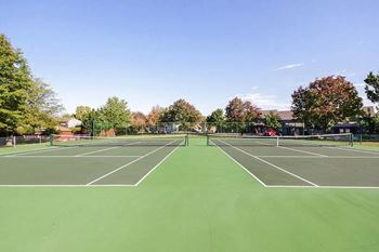 Tennis court