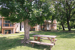 Olathe apartment for rent - A wooden picnic table is in the foreground of a grassy area with a tree and apartment buildings in the background.