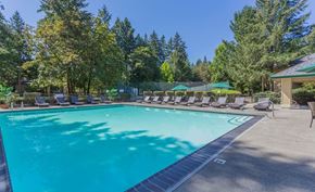 Hillsboro apartment for rent - a swimming pool with chairs around it and trees in the background