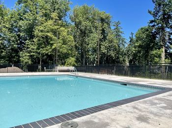 Sparkling pool
