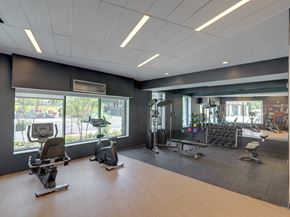 White Plains apartment for rent - A gym with a variety of equipment including treadmills, stationary bikes, and weight machines.