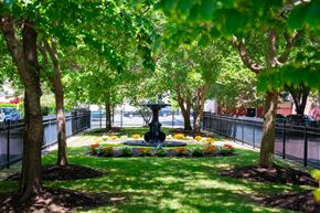 Dorchester townhouse for rent - a fountain in the middle of a grassy area surrounded by trees