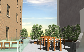 Stamford apartment for rent - Terrace