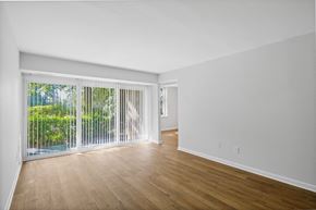 Reston apartment for rent - living room with hardwood style flooring