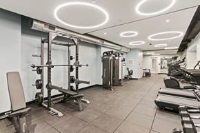 Washington apartment for rent - A well-equipped gym with various fitness machines and weights.