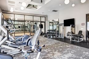 Kyle apartment for rent - the gym is equipped with cardio equipment and weights