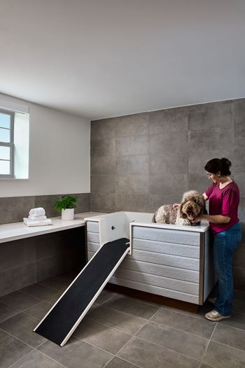 Indoor dog wash