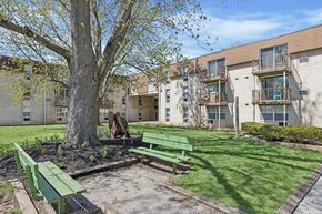 Norristown apartment for rent - A tree in a grassy area with a bench and apartment buildings in the background.