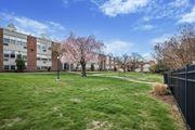 Philadelphia apartment for rent - A grassy area in front of a building with a tree in bloom.