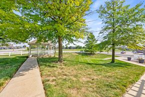 Lees Summit apartment for rent - A tree with yellow leaves stands in a grassy area.