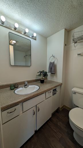 Omaha apartment for rent - a bathroom with a sink and a mirror and a toilet