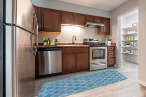 Lee's Summit apartment for rent - a kitchen with stainless steel appliances and a blue rug