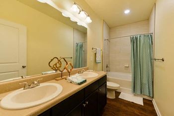 A bathroom with a sink and a toilet